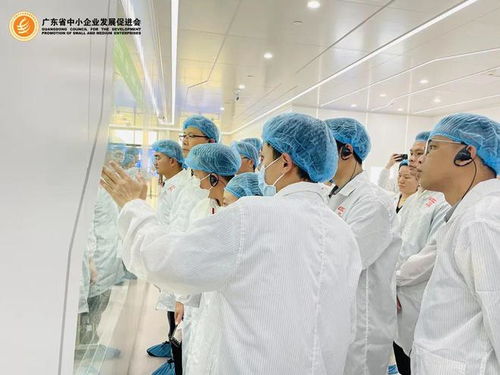 會(huì)員服務(wù) 直擊世界一流的透明工廠，簡直大開眼界