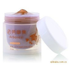 家居日用品 日常生活的美學(xué)與實(shí)用主義